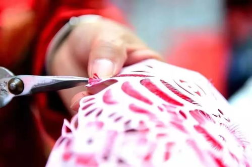 寶雞岐山轉(zhuǎn)鼓將代表家鄉(xiāng)爭奪 陜西省民間文化藝術(shù)之鄉(xiāng) 稱號